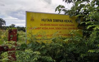 Hutan simpan di malaysia
