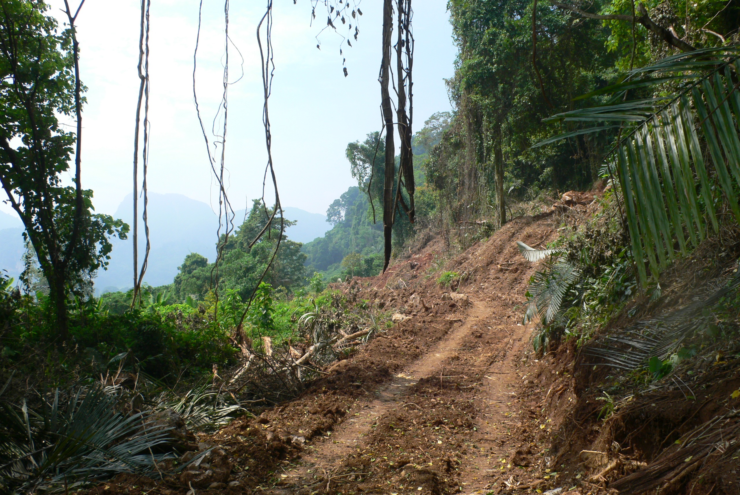 Penduduk The Dales Bantah Sebarang Projek Di Lereng Bukit Berhampiran Kediaman